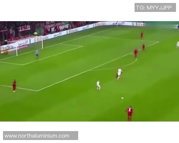 足球明星加热器使用指南：高效保暖技巧与维护方法详解