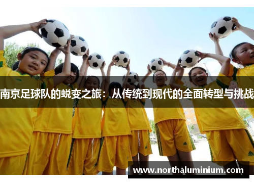 南京足球队的蜕变之旅：从传统到现代的全面转型与挑战