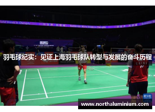 羽毛球纪实：见证上海羽毛球队转型与发展的奋斗历程