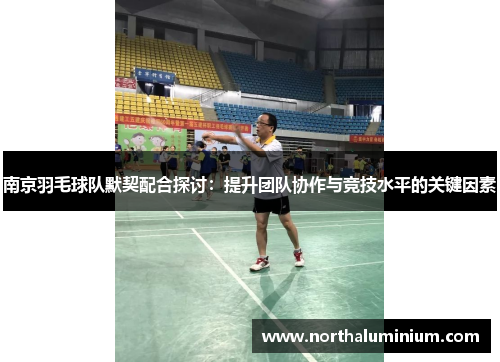 南京羽毛球队默契配合探讨：提升团队协作与竞技水平的关键因素