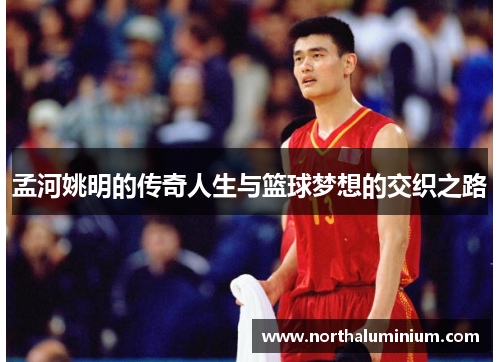 孟河姚明的传奇人生与篮球梦想的交织之路