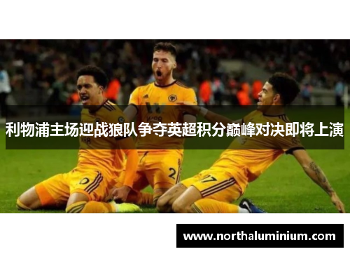利物浦主场迎战狼队争夺英超积分巅峰对决即将上演